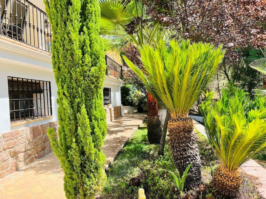 Villa Aljaral, Espectacular,Piscina,Chimenea, Climatizacion, Wifi قرطبة المظهر الخارجي الصورة